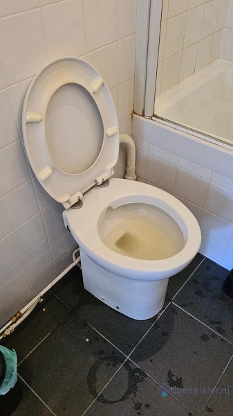  verstopping toilet De Meern